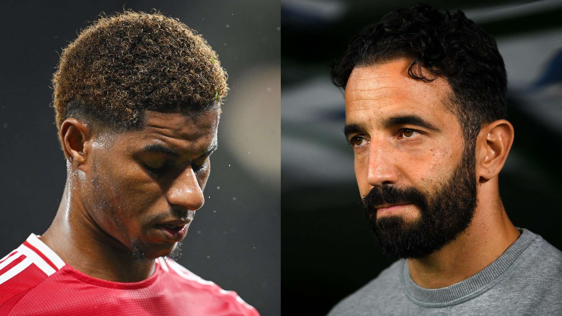 这些案例的 这些案例的