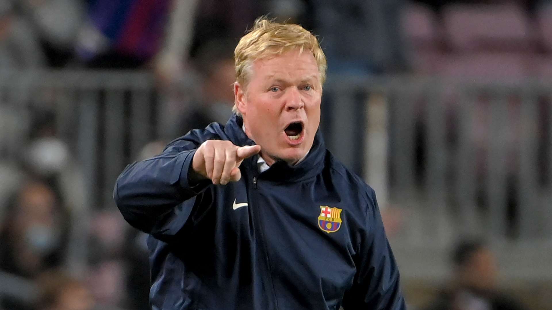 不乏新鮮血 不乏新鮮血